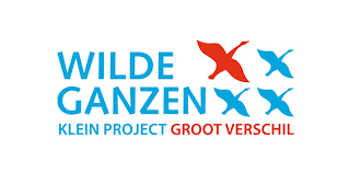 2020 10 Wilde Ganzen